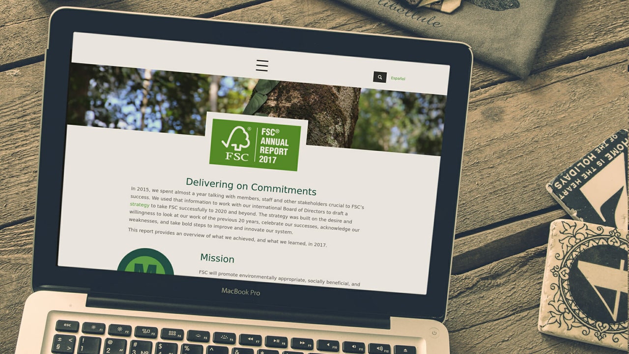 WordPress-Website FSC Annual Report